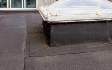 disadvantages of Clark Green flat roofs